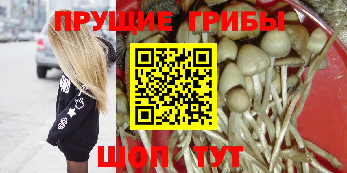 Галлюциногенные грибы Magic Shrooms Фрязино