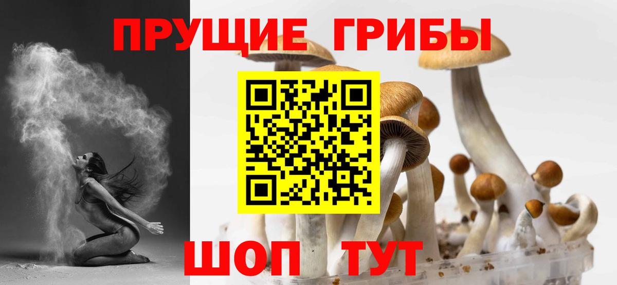 Галлюциногенные грибы GOLDEN TEACHER  Вход с VPN  Фрязино 